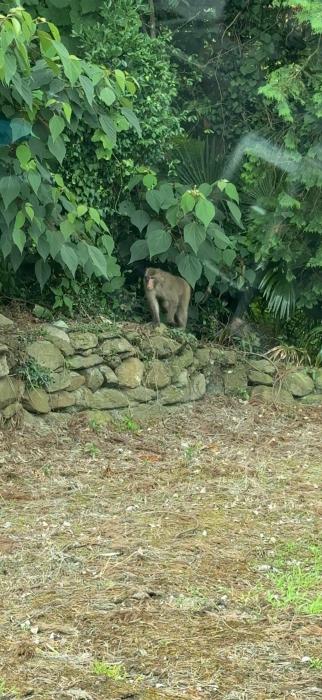 カイラ (39) 高松 萬天堂 / 出張性感マッサージ