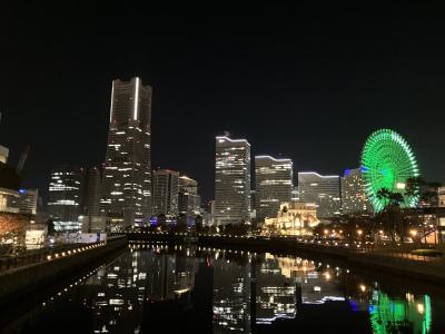 おやすみなさい⭐️ Ray (39) 神奈川県（出張性感マッサージ