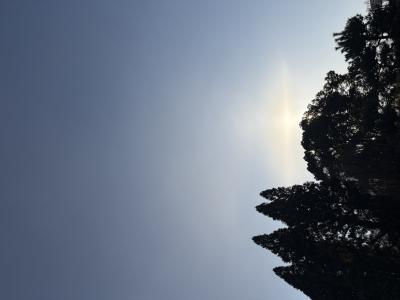 木漏れ日 ツカサ (46) 岡山県（出張性感マッサージ