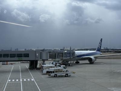 今日は東京出張 カズキ (51) 大阪府（出張性感マッサージ