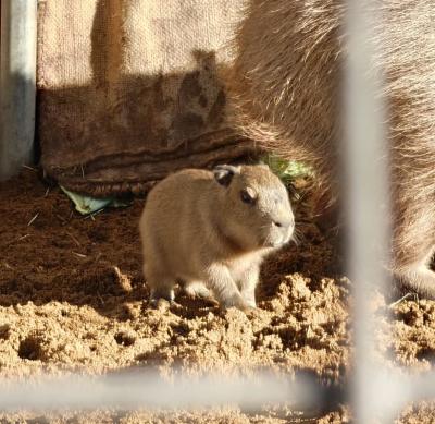 1月おわり みなと (30) 東京都（出張性感マッサージ