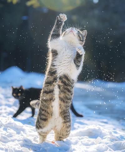 MIYABI (40) 信州 萬天堂 / 出張性感マッサージ