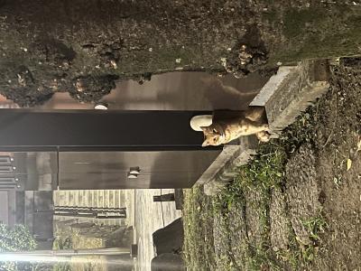 承太郎 (29) 東京 萬天堂 / 出張性感マッサージ