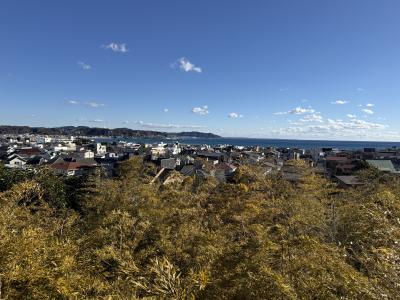 サトシ (44) 大宮 萬天堂 / 出張性感マッサージ