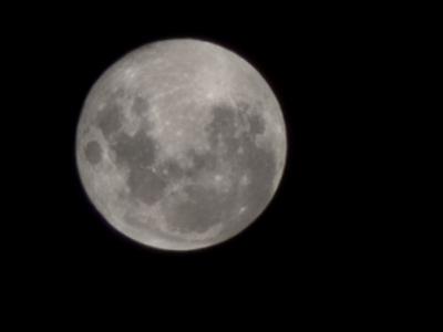 よしき (51) 湘南 萬天堂 / 出張性感マッサージ