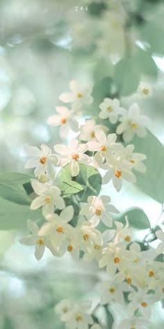 恭介 (49) 京都 萬天堂 / 出張性感マッサージ