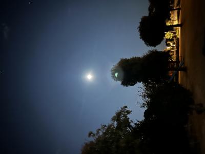 nao (45) 宇都宮 萬天堂 / 出張性感マッサージ