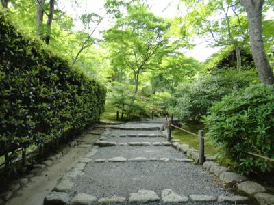 恵一 (36) 岡山 萬天堂 / 出張性感マッサージ