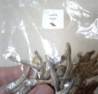 幸村 (40) 高松 萬天堂 / 出張性感マッサージ