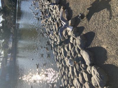 Ray (39) 横浜 萬天堂 / 出張性感マッサージ