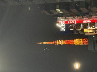 やっぱり東京タワーはいいですね 獠 (54) 埼玉県（出張性感マッサージ