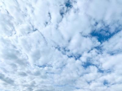 ビクンビクン 隣 (38) 富山県（出張性感マッサージ