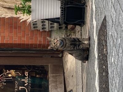 勝己 (28) 浜松 萬天堂 / 出張性感マッサージ