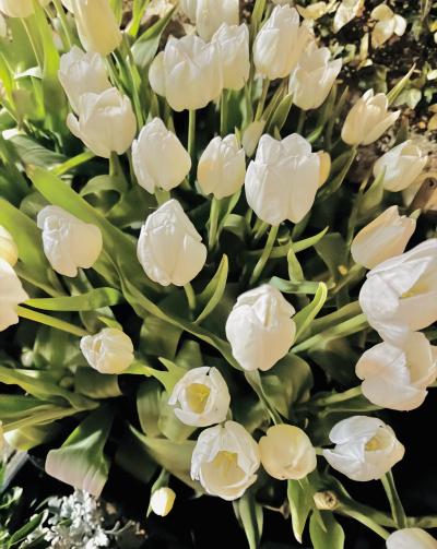 賢人 (32) 大宮 萬天堂 / 出張性感マッサージ