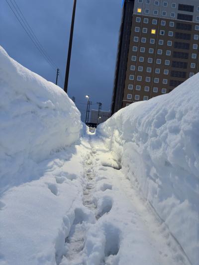 ミオ (27) 横浜 萬天堂 / 出張性感マッサージ