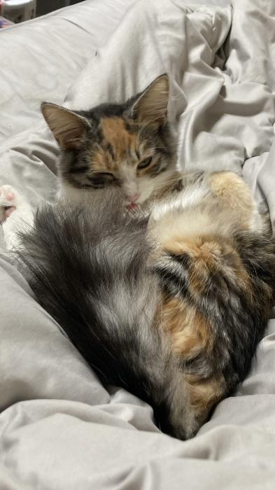 おはようございます！ 勝己 (28) 静岡県（出張性感マッサージ