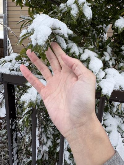 無題 翠 (43) 東京都（出張性感マッサージ