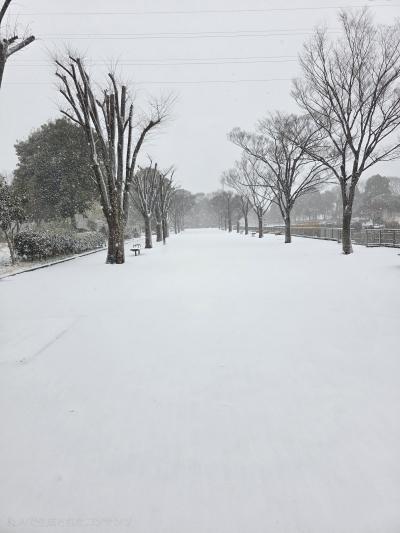 よしき (51) 湘南 萬天堂 / 出張性感マッサージ