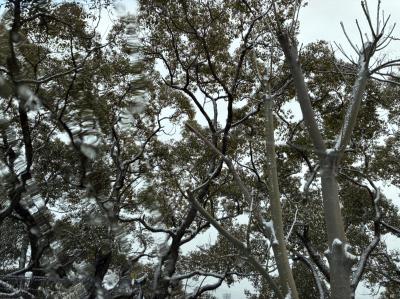 陵 (43) 長崎 萬天堂 / 出張性感マッサージ