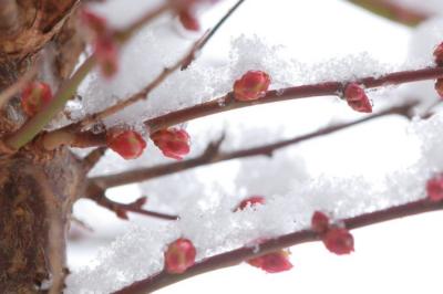 秋優 (43) 高松 萬天堂 / 出張性感マッサージ