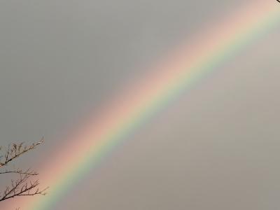 詩音 (40) 大阪 萬天堂 / 出張性感マッサージ