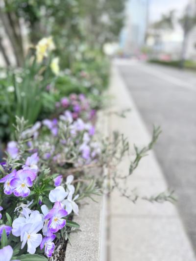 椎名 (52) 東京 萬天堂 / 出張性感マッサージ