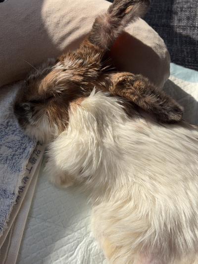 まさと (50) 東京 萬天堂 / 出張性感マッサージ