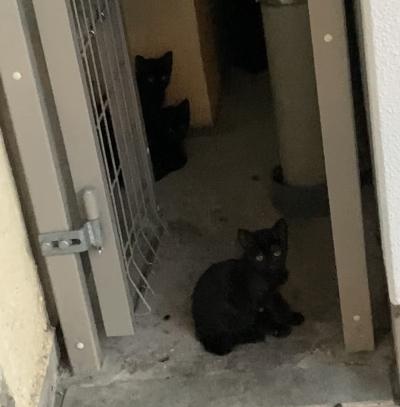 千尋 (26) 浜松 萬天堂 / 出張性感マッサージ