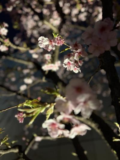 春の足音 翠 (43) 東京都（出張性感マッサージ