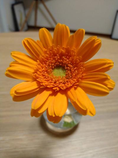 竹内 (45) 仙台 萬天堂 / 出張性感マッサージ