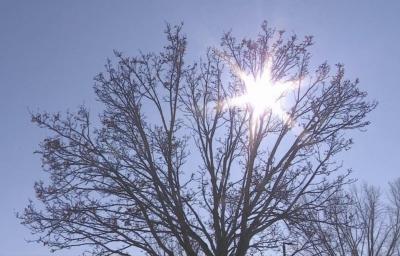 獠 (54) 大宮 萬天堂 / 出張性感マッサージ