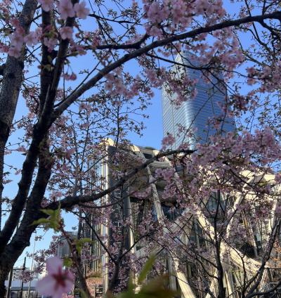 亜呂 (49) 水戸 萬天堂 / 出張性感マッサージ