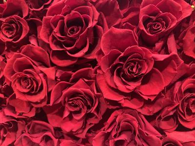 冬獅郎 (35) 東京 萬天堂 / 出張性感マッサージ