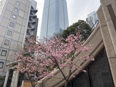 エイチ (44) 大宮 萬天堂 / 出張性感マッサージ