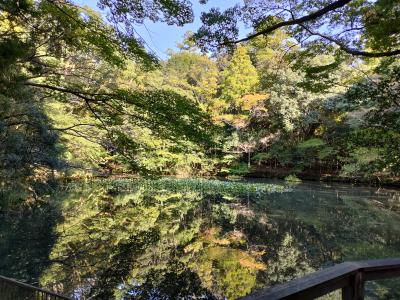 TAKU (28) 岐阜 萬天堂 / 出張性感マッサージ