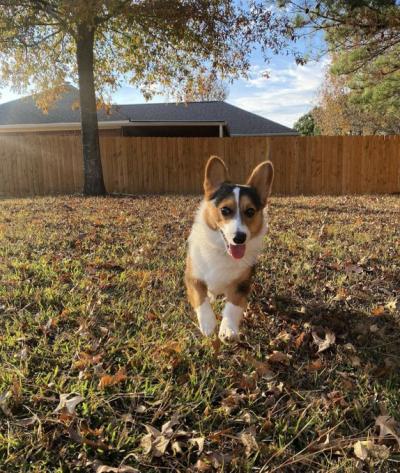 みなと (30) 東京 萬天堂 / 出張性感マッサージ