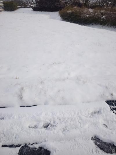 花楓 (40) 仙台 萬天堂 / 出張性感マッサージ