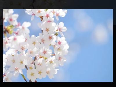 蒼司 (53) 福岡 萬天堂 / 出張性感マッサージ