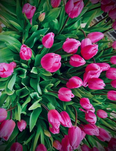 毎日更新   賢人 賢人 (32) 埼玉県（出張性感マッサージ