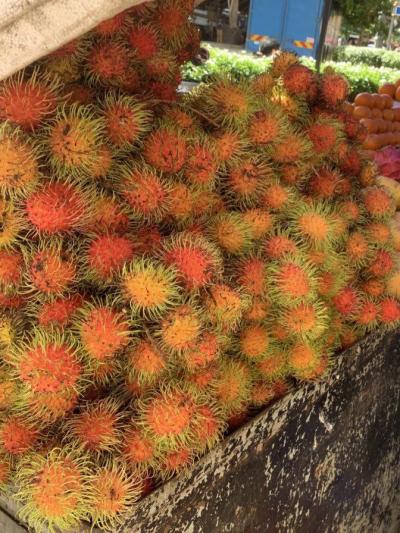 腫れあがったキン〇タマ 千 (32) 東京都（出張性感マッサージ