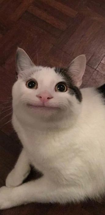 空舞 (22) 水戸 萬天堂 / 出張性感マッサージ