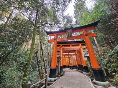 ⛩️ れんと (29) 大阪府（出張性感マッサージ