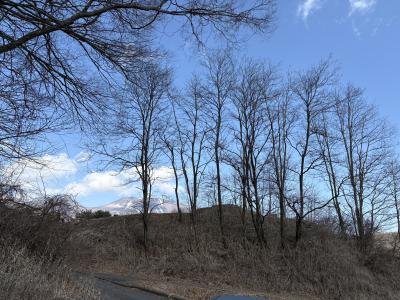 裕也 (48) 千葉 萬天堂 / 出張性感マッサージ