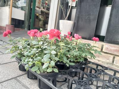 平政 (45) 広島 萬天堂 / 出張性感マッサージ