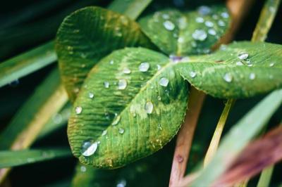 恵一 (36) 岡山 萬天堂 / 出張性感マッサージ