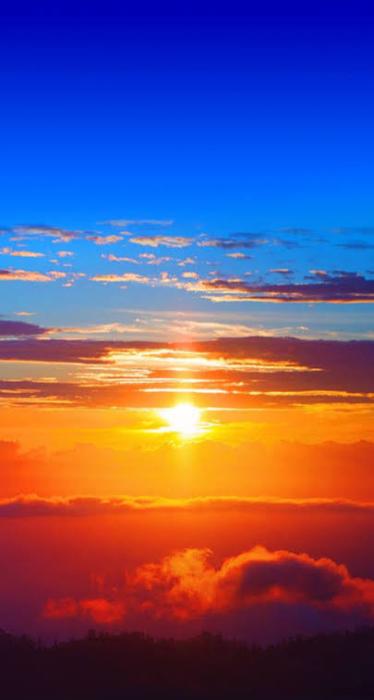 有 (28) 旭川 萬天堂 / 出張性感マッサージ