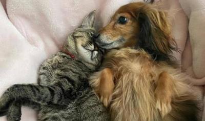 空 (28) 大阪 萬天堂 / 出張性感マッサージ