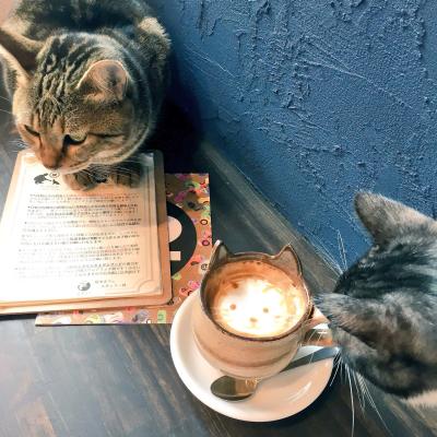 MIYABI (40) 信州 萬天堂 / 出張性感マッサージ