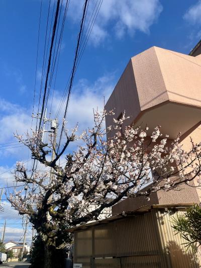 萬天堂一周年！&萬天堂のイイトコロ！！🫶 ミキ (34) 東京都（出張性感マッサージ