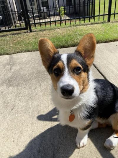 本日出勤となりました！ みなと (30) 東京都（出張性感マッサージ